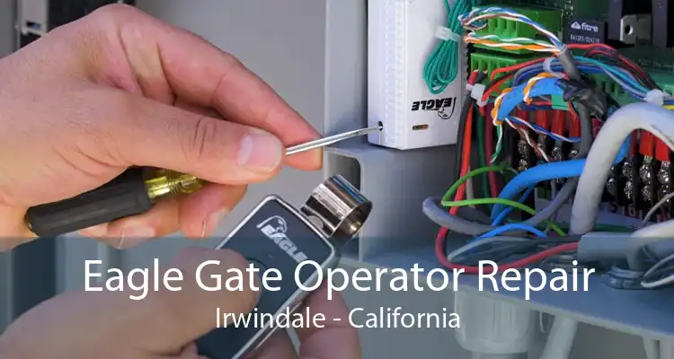 Eagle Gate Operator Repair Irwindale - California